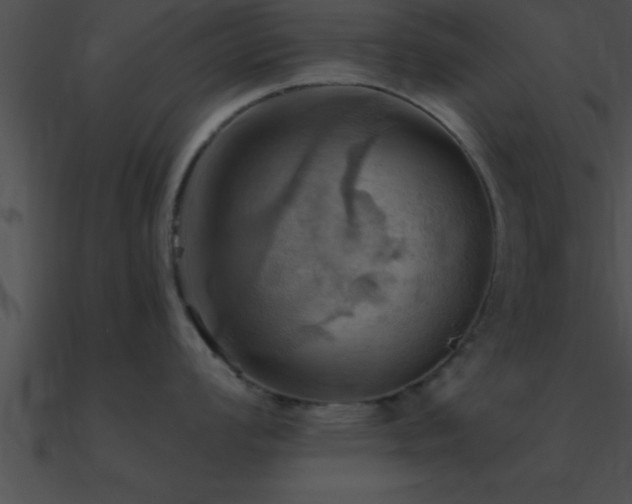 X0000090981008200708021454
