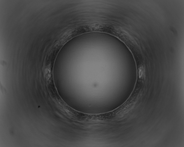 X0000090981011200708021454