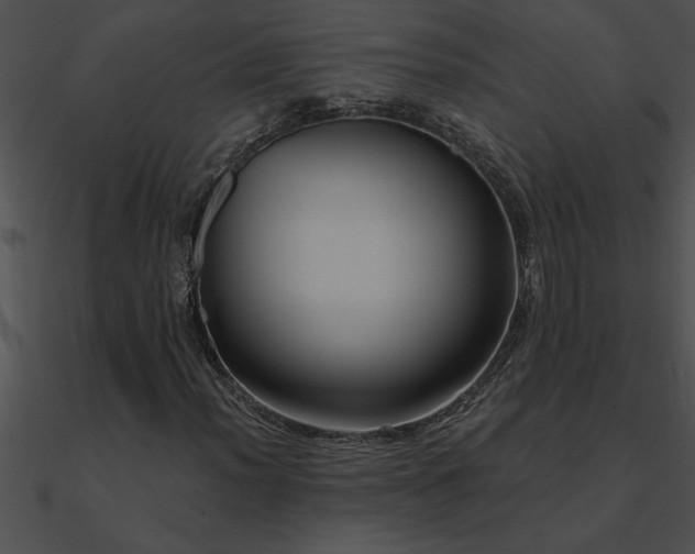 X0000090981012200708021454