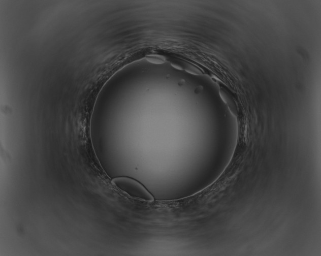 X0000090981013200708021454