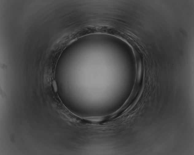 X0000090981014200708021454
