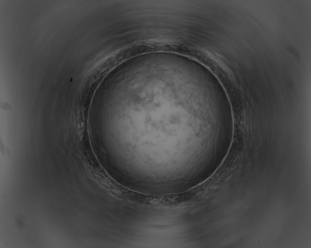 X0000090981015200708021454