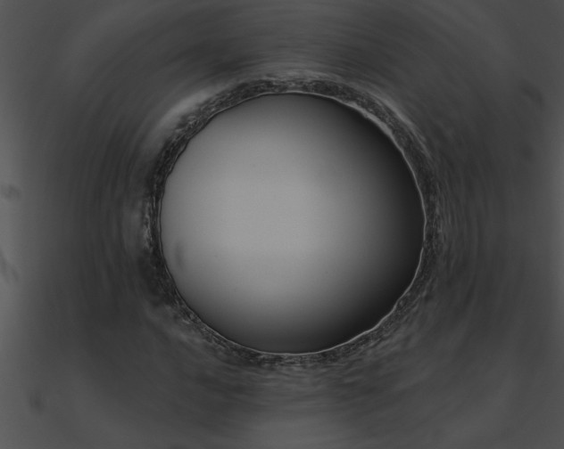 X0000090981016200708021454