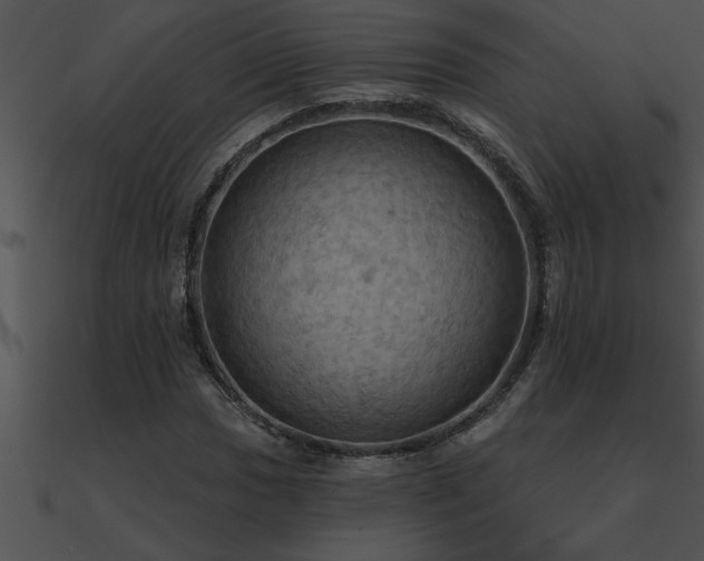 X0000090981017200708021454