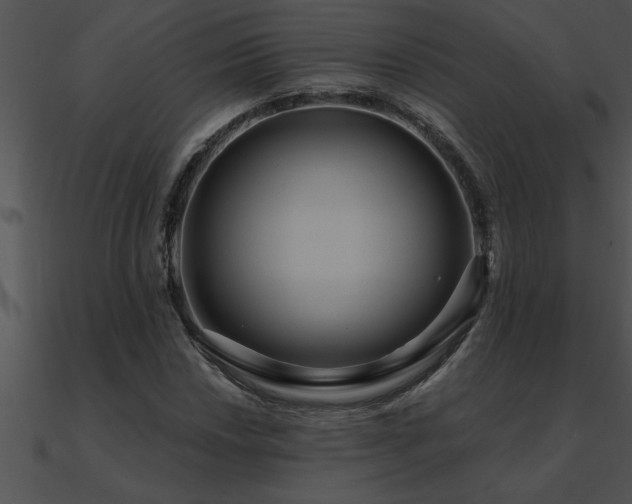 X0000090981018200708021454