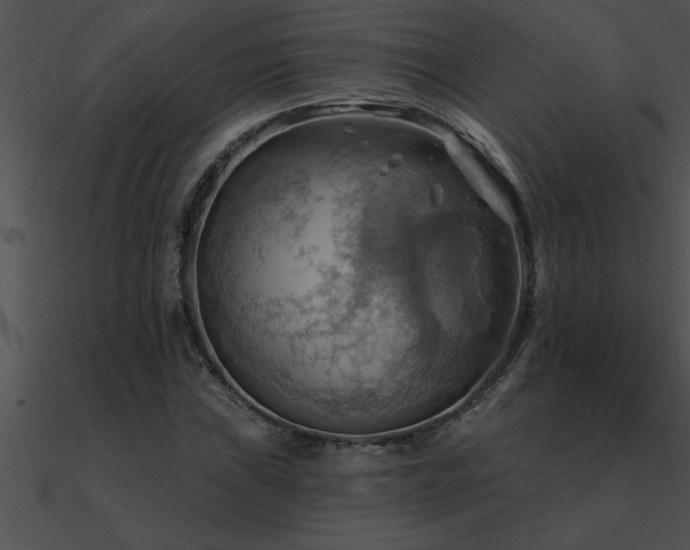 X0000090981019200708021454