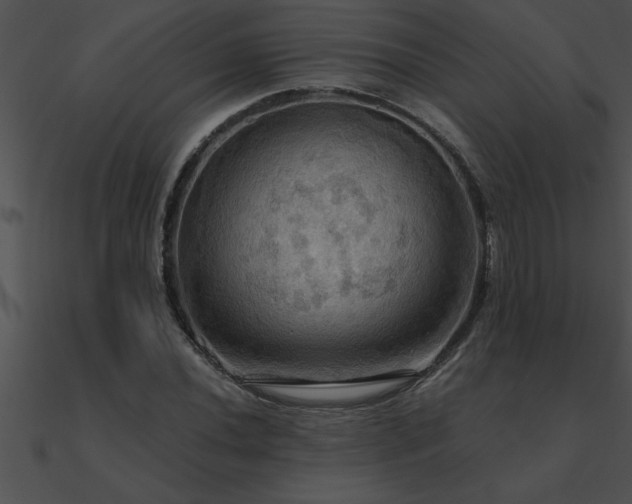 X0000090981020200708021454
