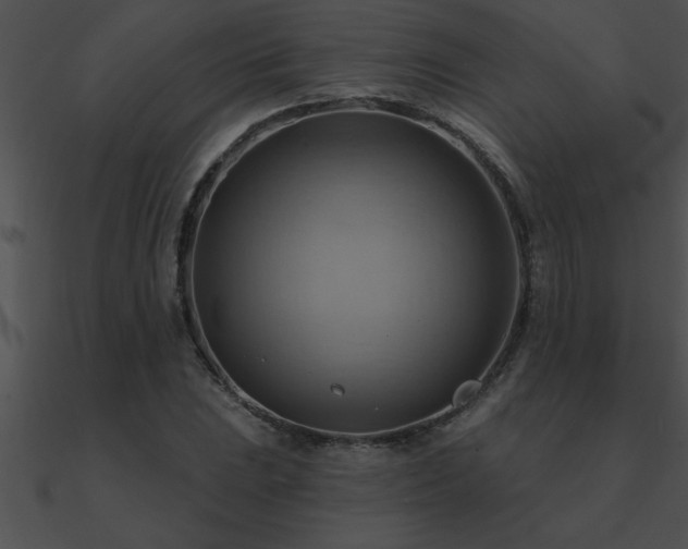 X0000090981023200708021454