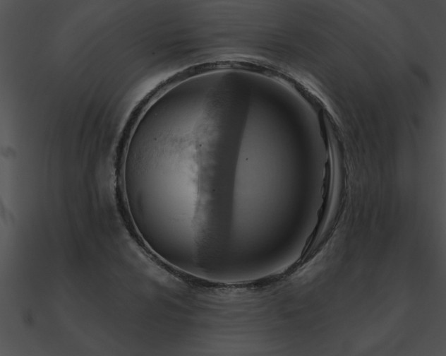 X0000090981024200708021454