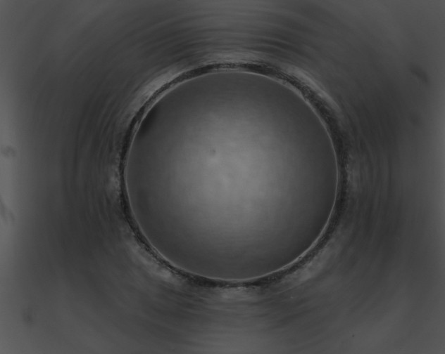 X0000090981025200708021454