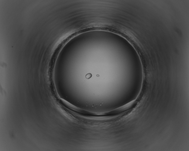 X0000090981026200708021454