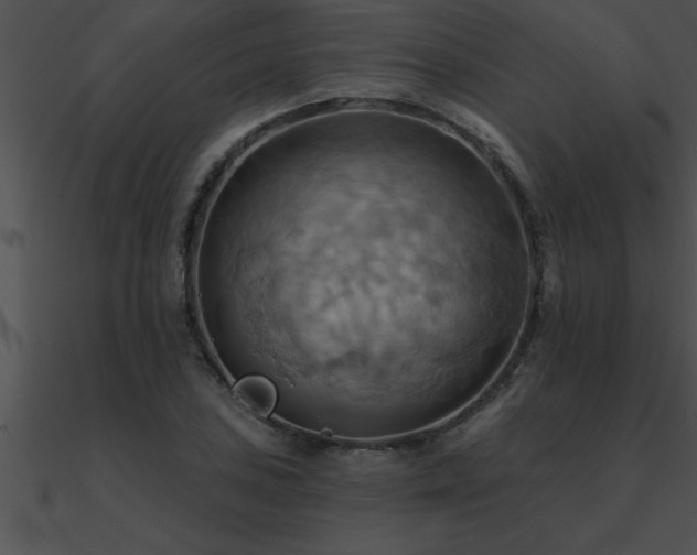 X0000090981027200708021454