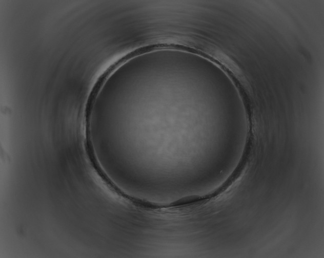 X0000090981028200708021454