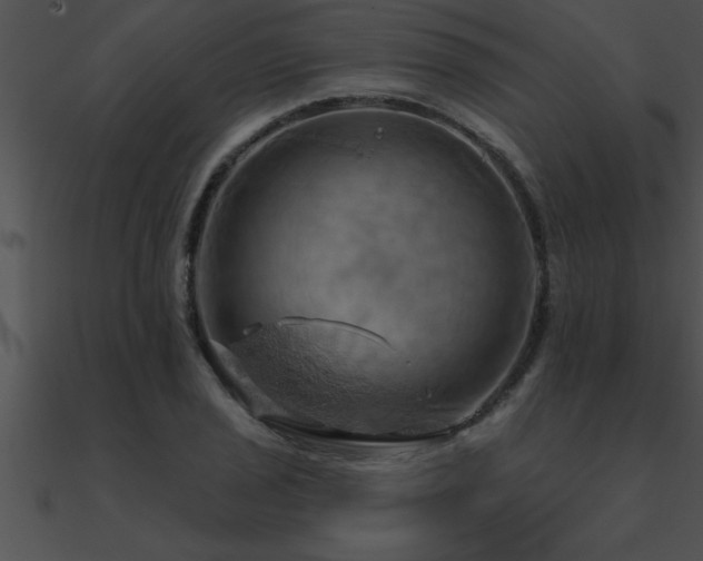 X0000090981029200708021454
