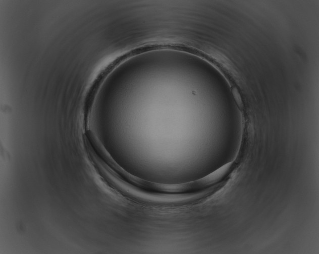 X0000090981030200708021454