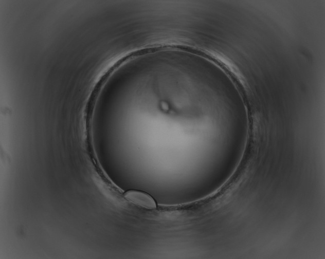 X0000090981031200708021454