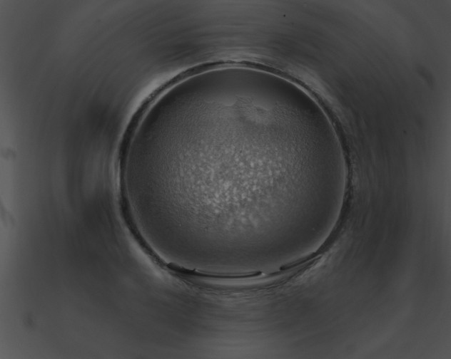 X0000090981032200708021454