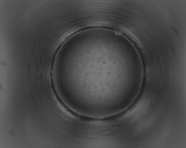 X0000090981033200708021454