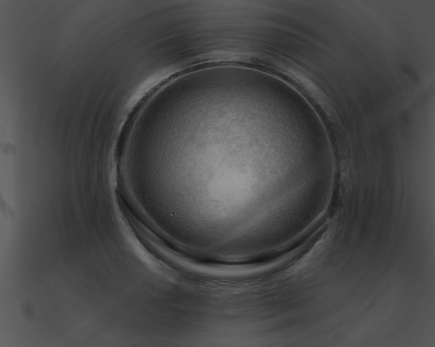 X0000090981034200708021454