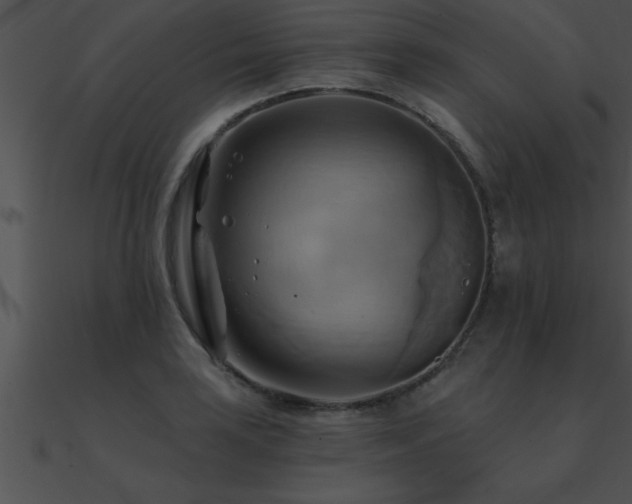 X0000090981035200708021454