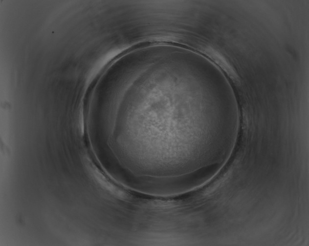 X0000090981036200708021454
