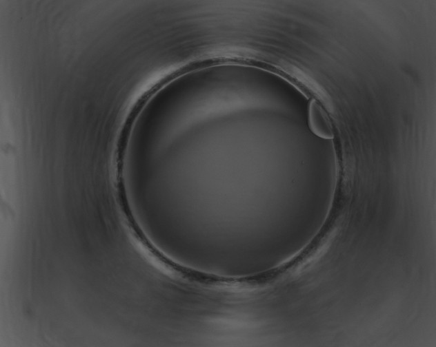 X0000090981037200708021454