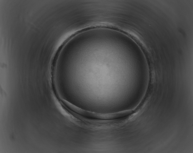 X0000090981038200708021454