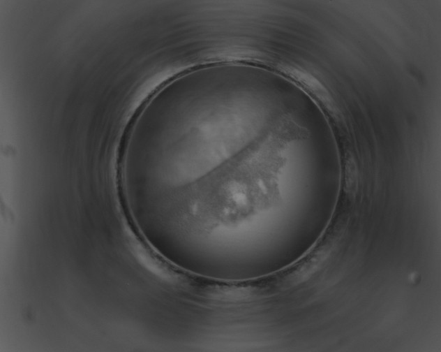X0000090981039200708021454
