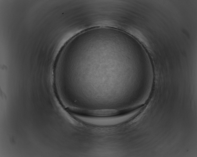 X0000090981040200708021454