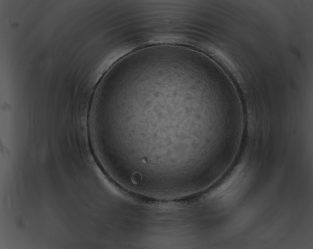 X0000090981041200708021454
