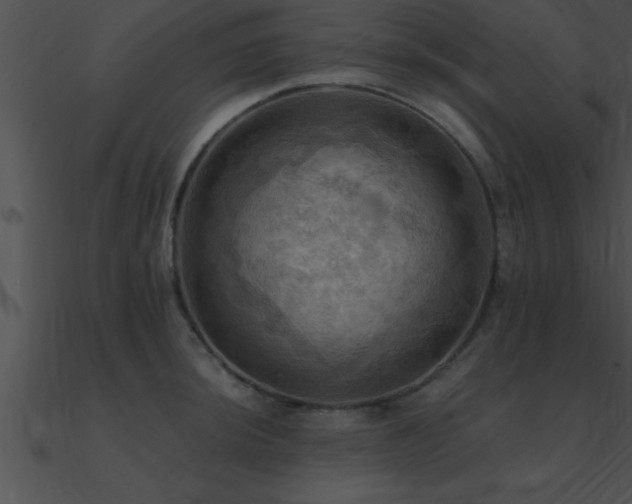 X0000090981044200708021454