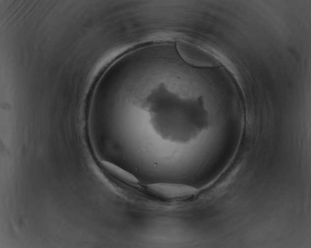 X0000090981045200708021454