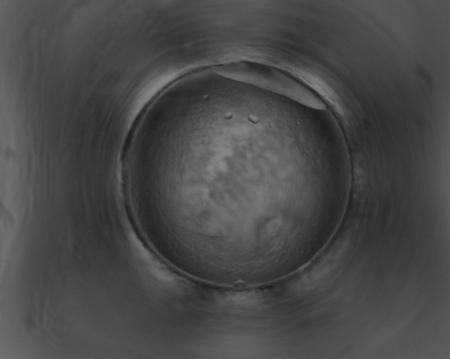 X0000090981047200708021454