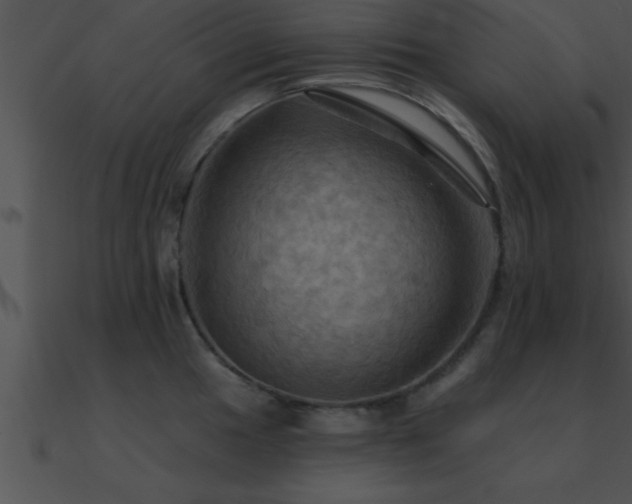X0000090981049200708021454