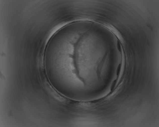 X0000090981052200708021454