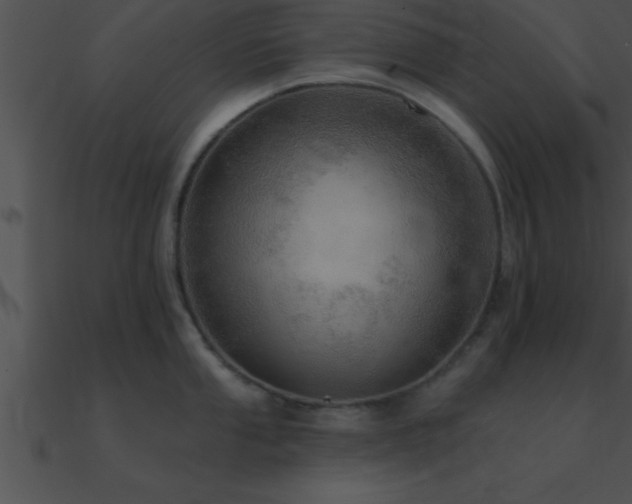 X0000090981053200708021454