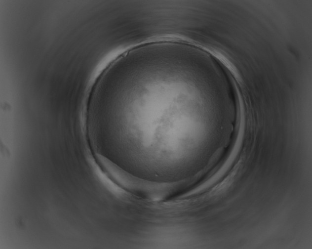 X0000090981054200708021454