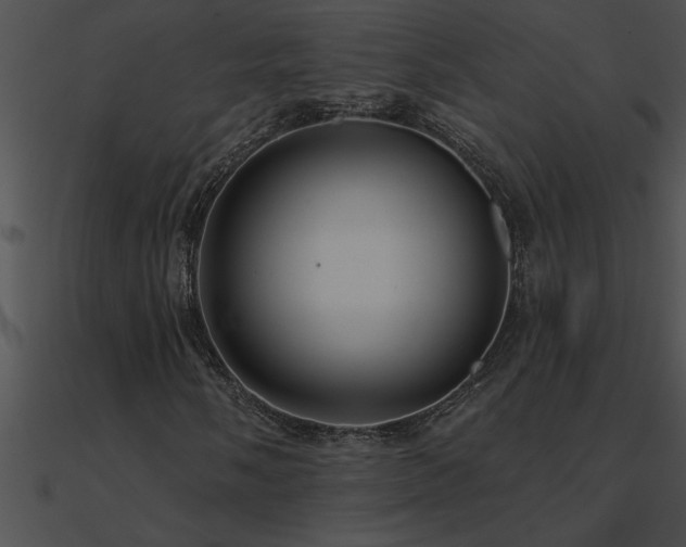 X0000090981058200708021453