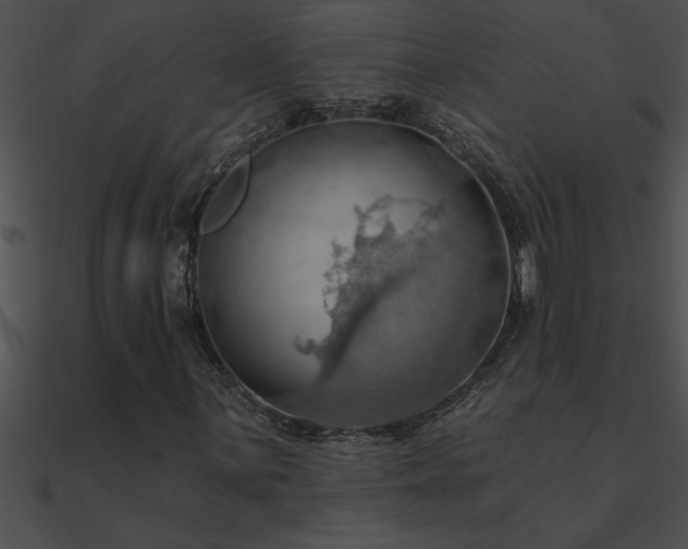 X0000090981059200708021453