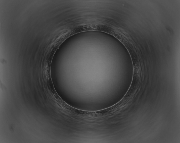 X0000090981060200708021453