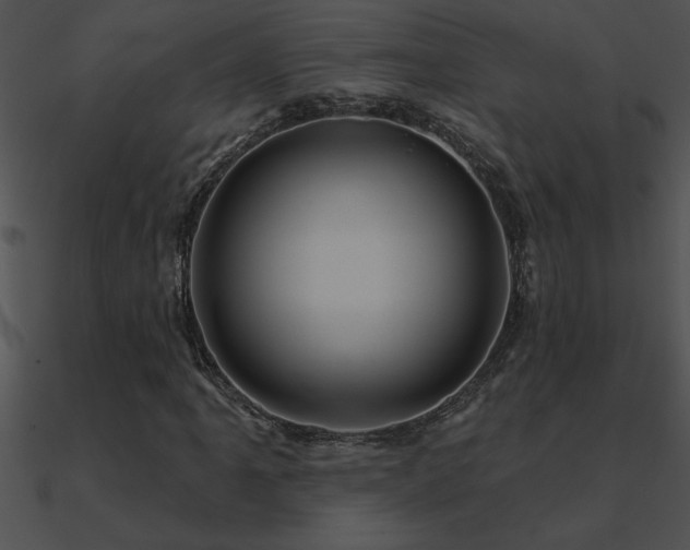 X0000090981061200708021453