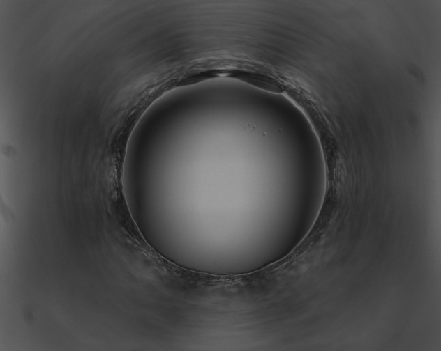 X0000090981062200708021453