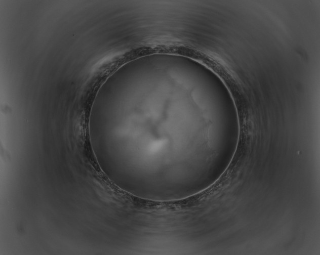 X0000090981063200708021453