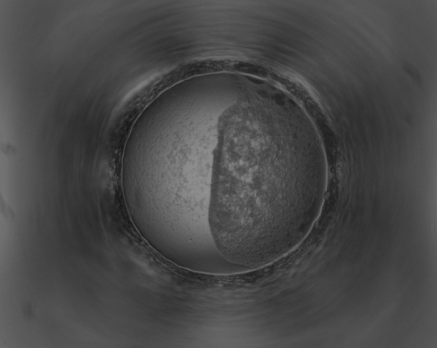 X0000090981064200708021453