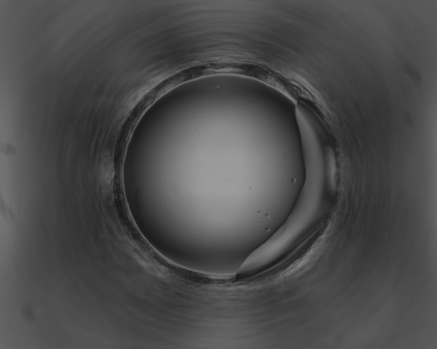 X0000090981065200708021453