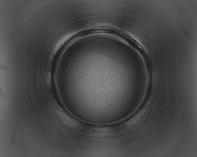 X0000090981066200708021453