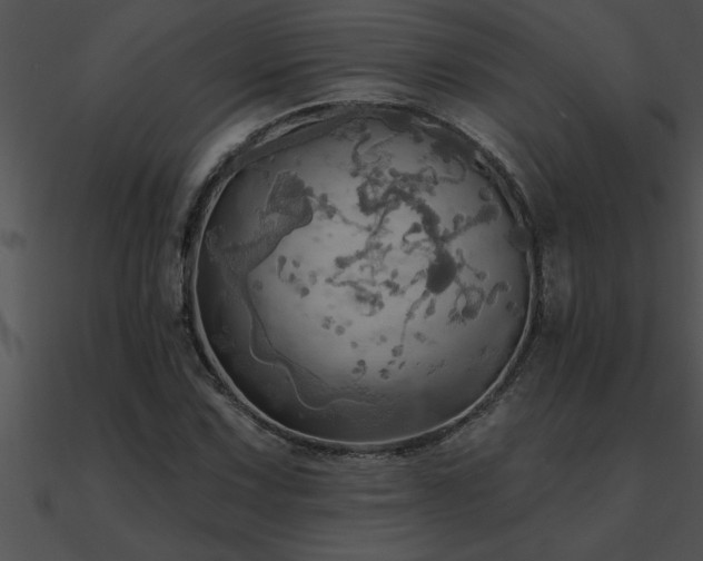 X0000090981067200708021453