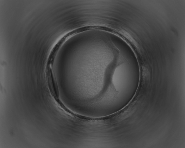 X0000090981068200708021453