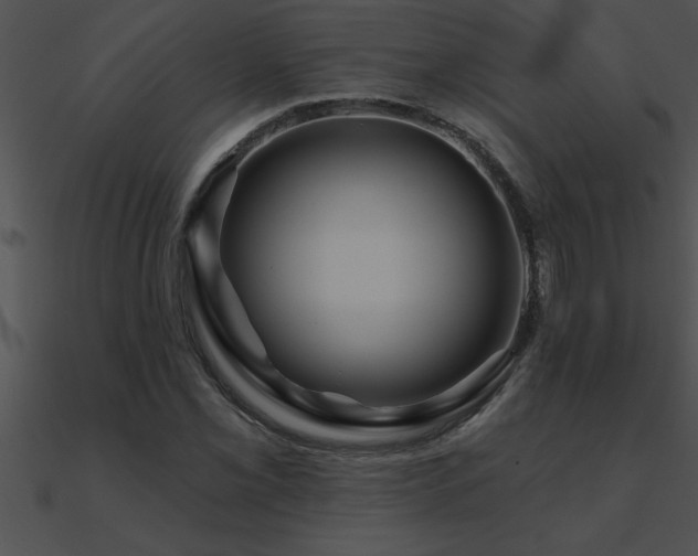 X0000090981069200708021453