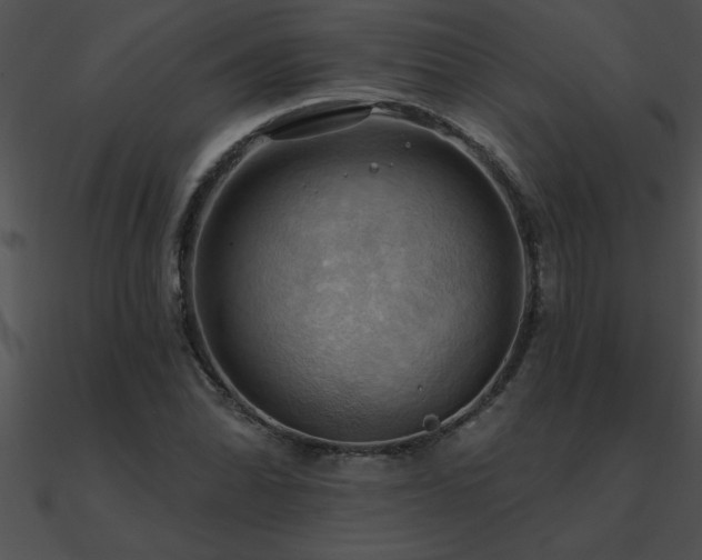 X0000090981070200708021453